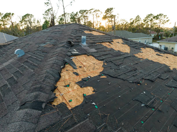 Best Green or Eco-Friendly Roofing Solutions  in Avila Beach, CA
