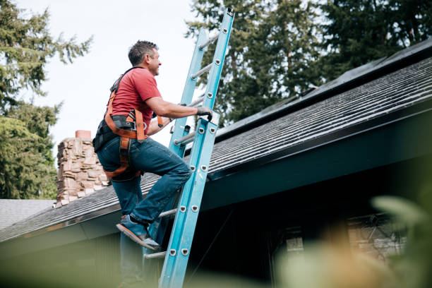 Best Roof Maintenance and Cleaning  in Avila Beach, CA
